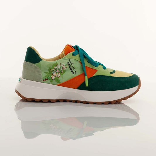 Macondas® Werregue, our palm.