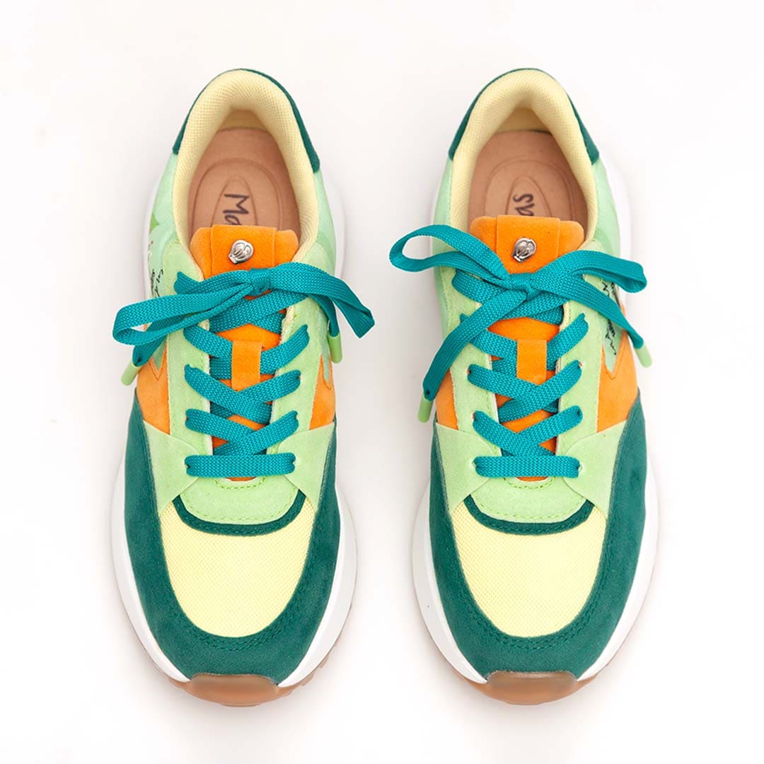 Macondas® Werregue, our palm.