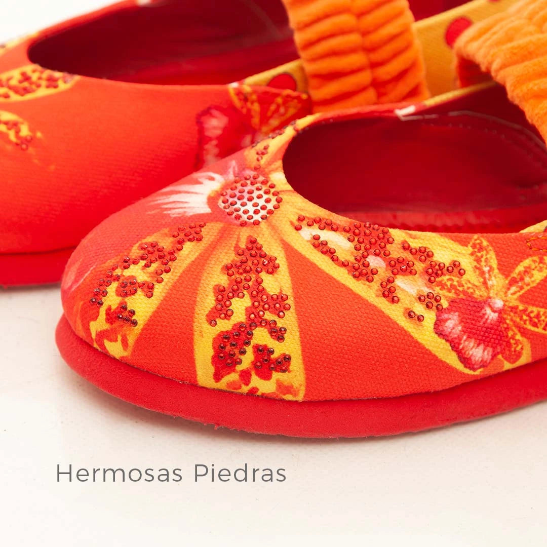Orquídea Bambú – Orquídeas de Colombia. Bailarinas Macondas®