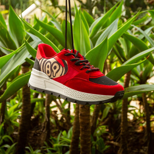 Macondas® Werregue, our palm.